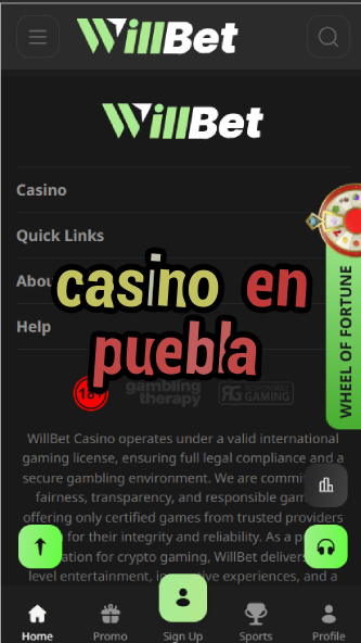 Casino En Puebla - Mexican Colonial City Casino-casinoorder.vip